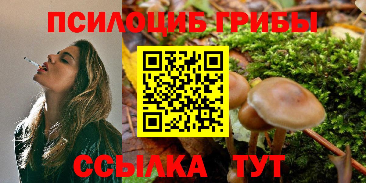 Галлюциногенные грибы GOLDEN TEACHER  Вход с VPN  Кудымкар  Псилоцибиновые грибы MAGIC MUSHROOMS 