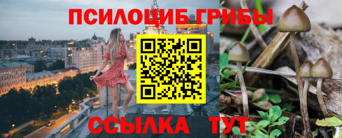 Псилоцибиновые грибы прущие грибы Кудымкар